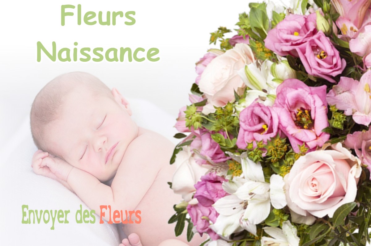 lIVRAISON FLEURS NAISSANCE à CHONVILLE-MALAUMONT